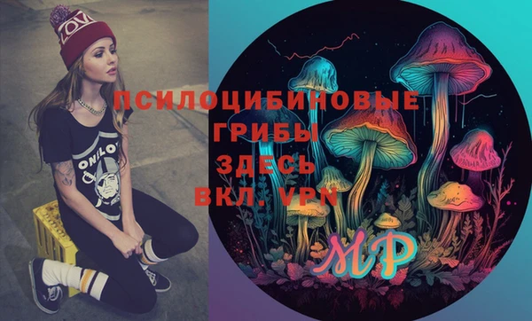 кокс Абаза