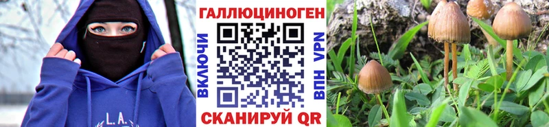 купить наркоту  Тарко-Сале  Галлюциногенные грибы Magic Shrooms 